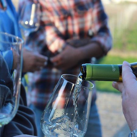 Quinta Pousada De Fora Wines & Tourism 귀마레스 외부 사진