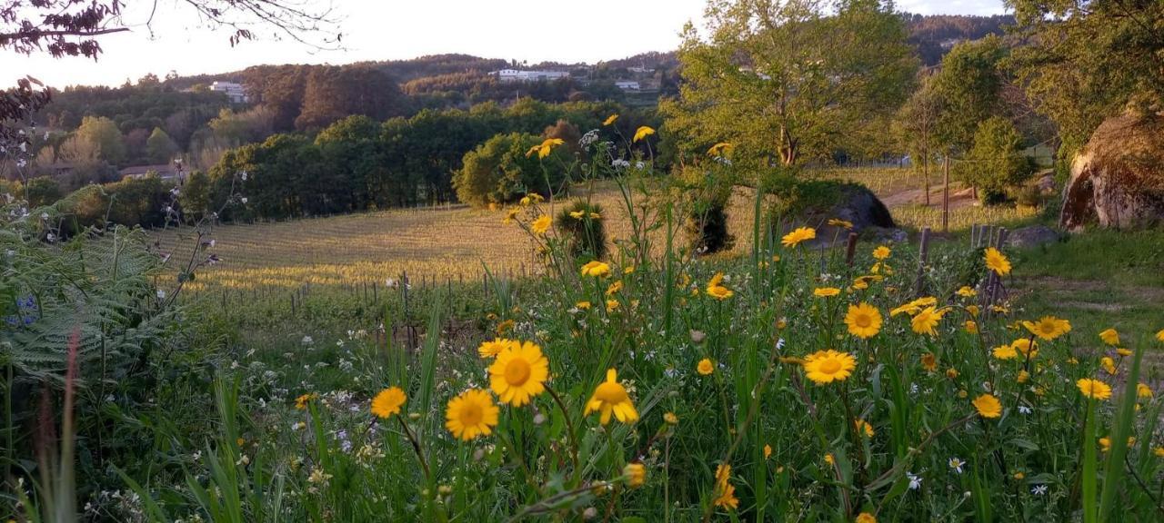 Quinta Pousada De Fora Wines & Tourism 귀마레스 외부 사진