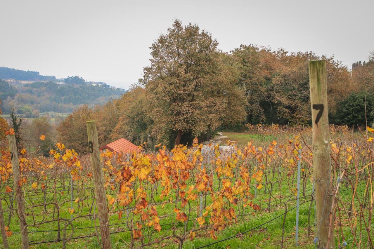 Quinta Pousada De Fora Wines & Tourism 귀마레스 외부 사진