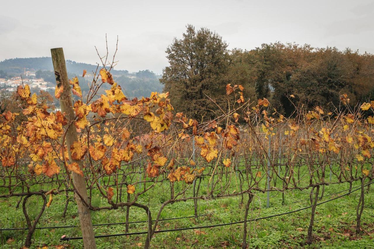 Quinta Pousada De Fora Wines & Tourism 귀마레스 외부 사진