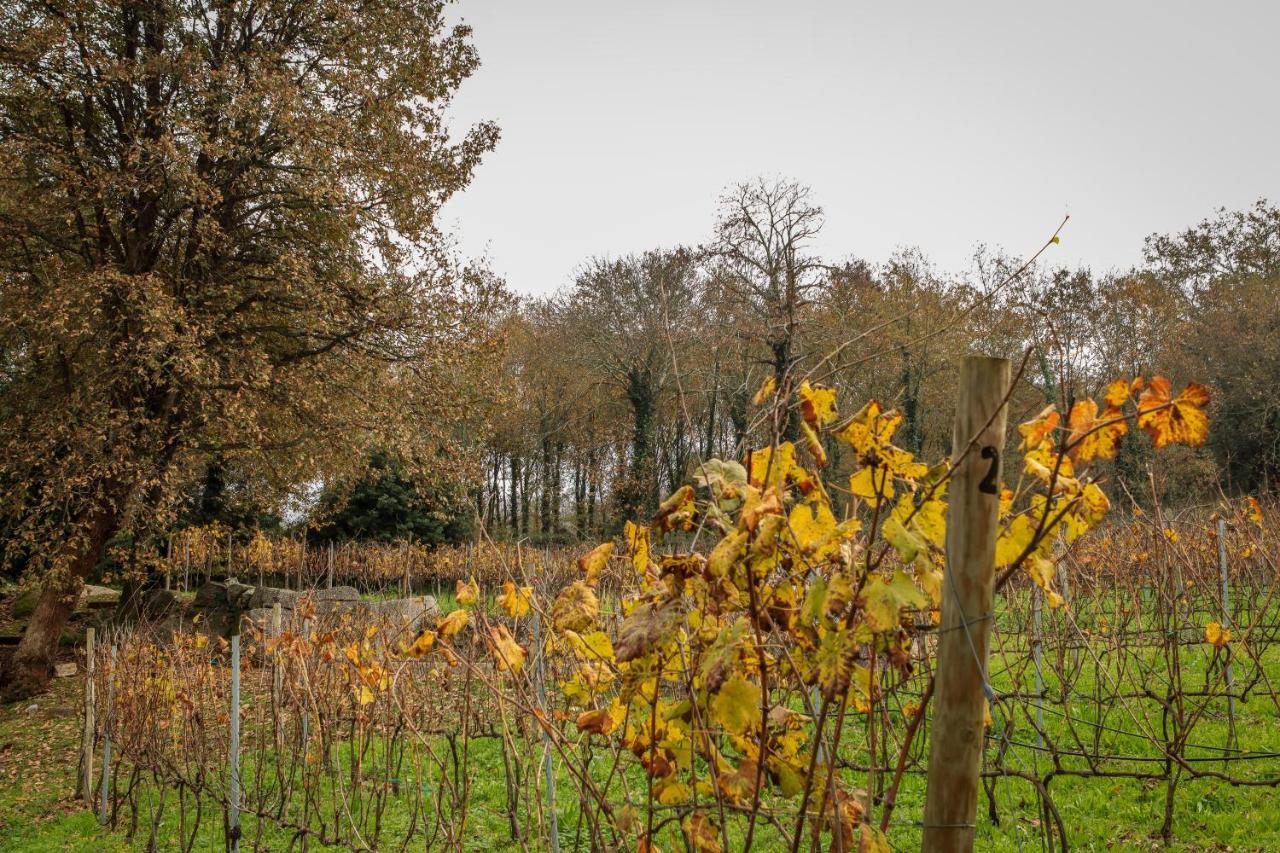 Quinta Pousada De Fora Wines & Tourism 귀마레스 외부 사진