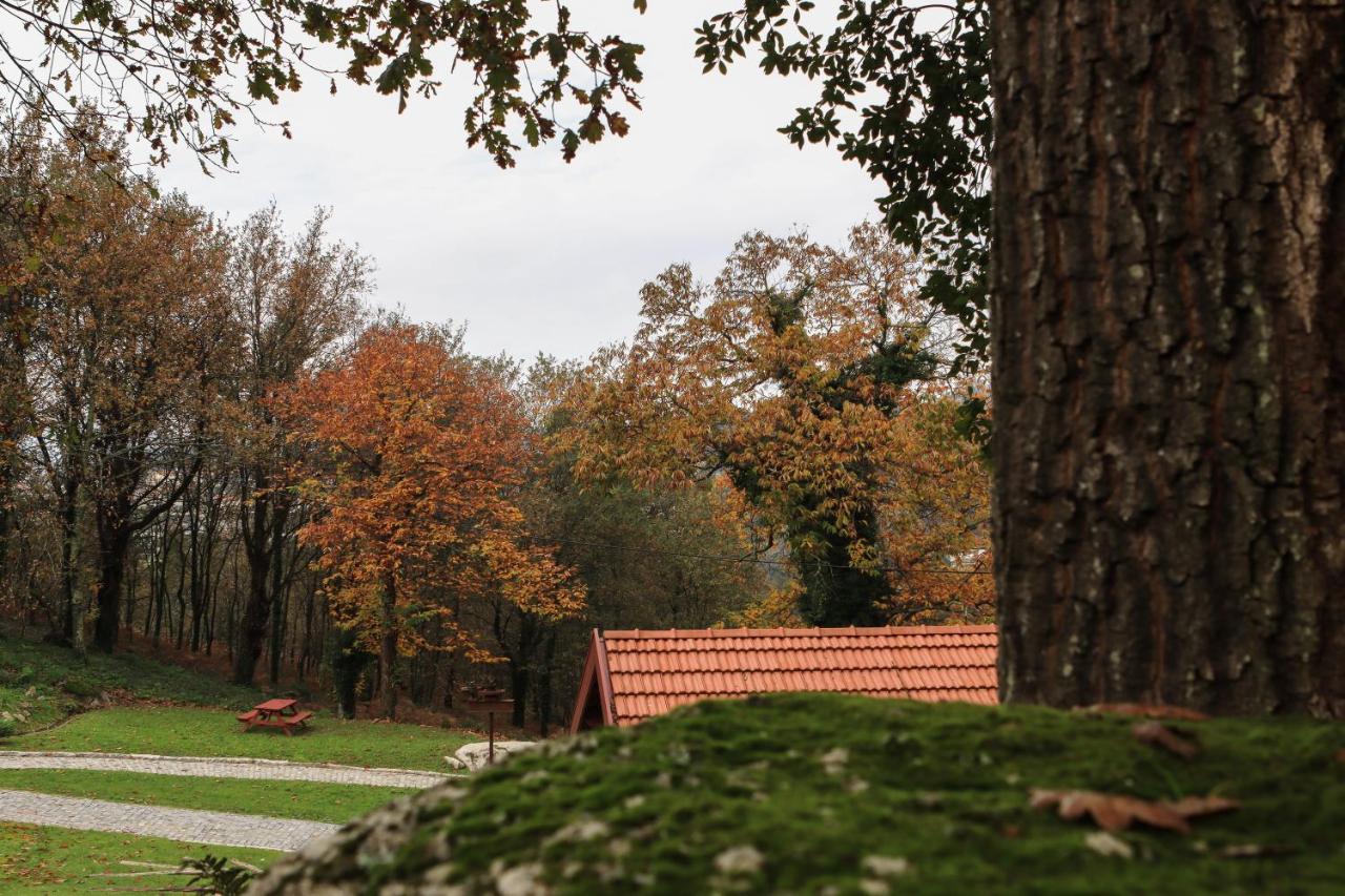 Quinta Pousada De Fora Wines & Tourism 귀마레스 외부 사진
