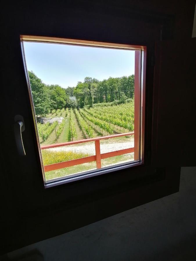 Quinta Pousada De Fora Wines & Tourism 귀마레스 외부 사진