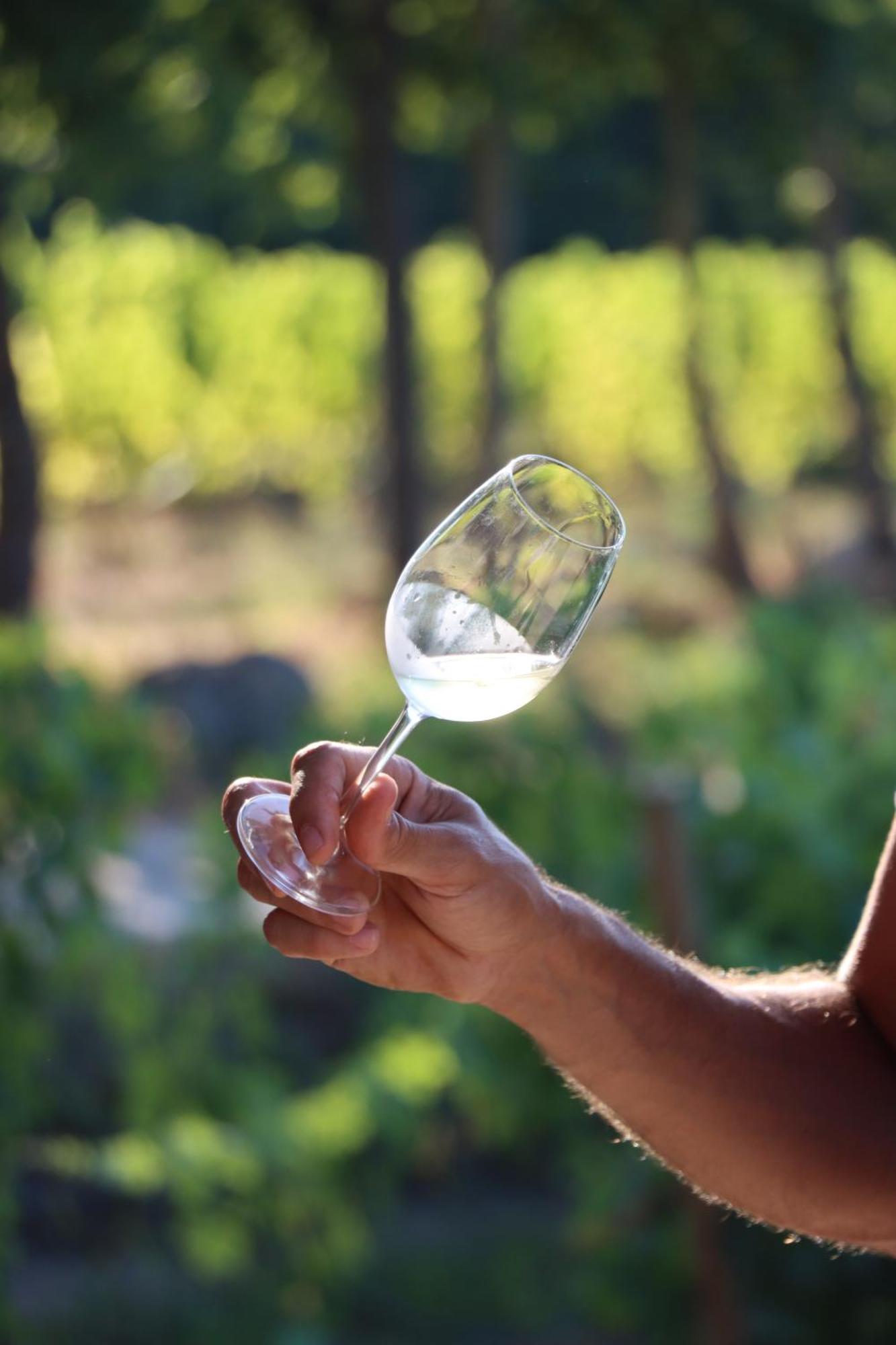 Quinta Pousada De Fora Wines & Tourism 귀마레스 외부 사진
